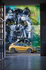 BMW X2 xDrive20d M Sport X 2018 года (WW)
